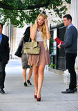 th_91230_celebrity_paradise.com_TheElder_BlakeLively116_122_423lo.jpg