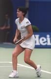 th_34860_HINGIS9.JPG