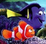 two colorful fishes looking at each other