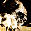 image hosted by ImageVenue.com