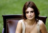 http://img19.imagevenue.com/loc242/th_32059_penelope_cruz__123_242lo.jpg